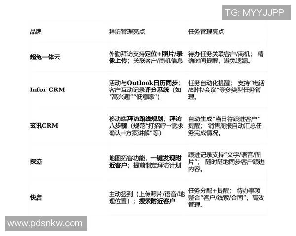 阿美利加明尼路与彭美拉斯的精彩对决揭示足球战术与团队精神的较量