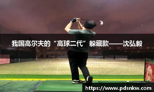 我国高尔夫的“高球二代”躲藏款——沈弘毅